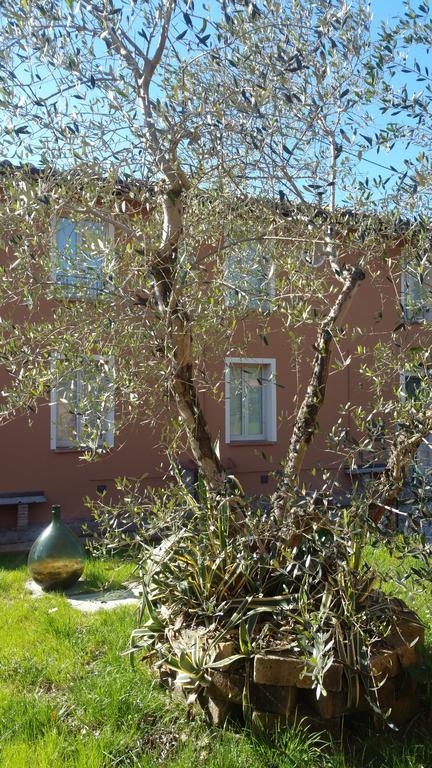 Ulivo Della Querce Villa Querce  Exteriör bild