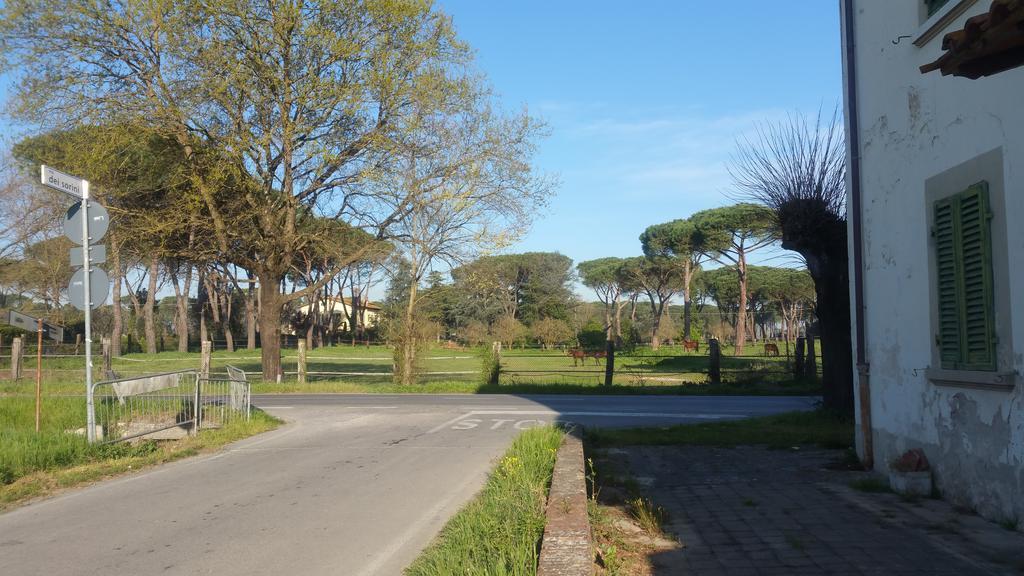Ulivo Della Querce Villa Querce  Exteriör bild