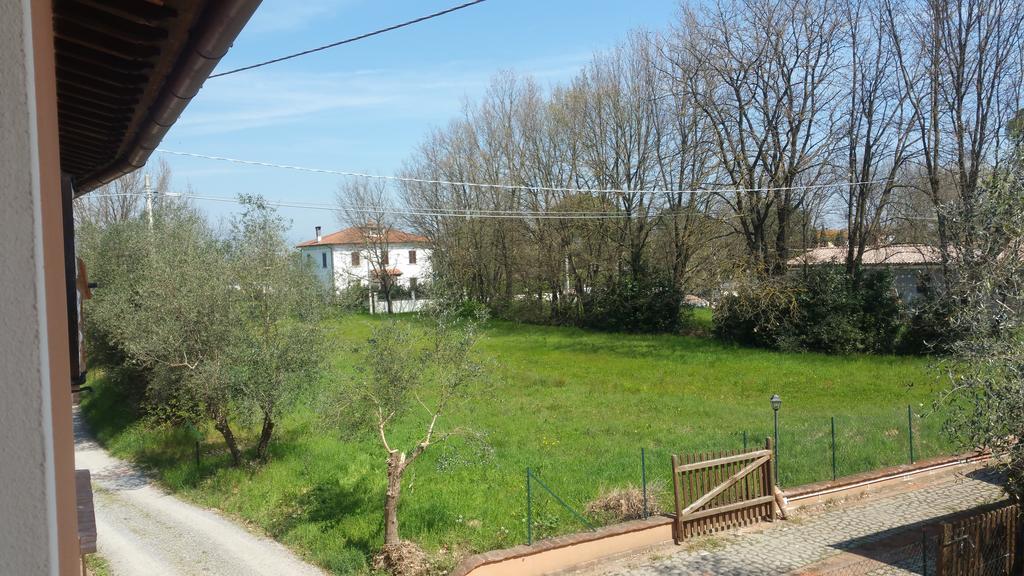 Ulivo Della Querce Villa Querce  Exteriör bild