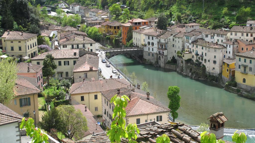Ulivo Della Querce Villa Querce  Exteriör bild