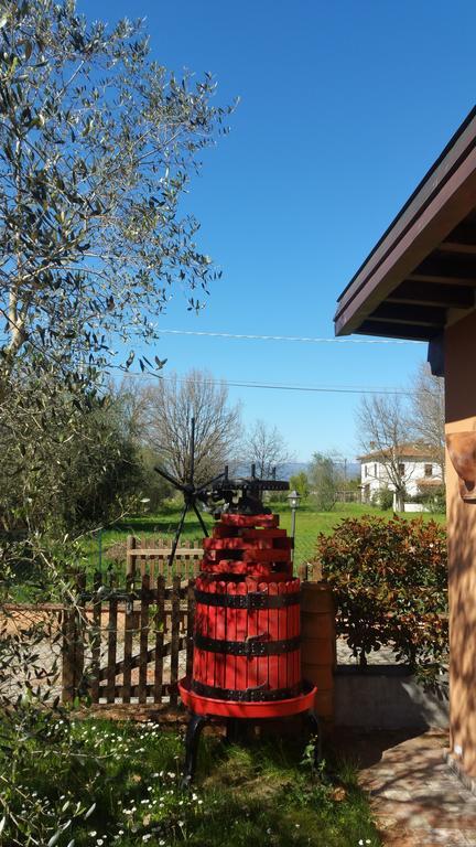 Ulivo Della Querce Villa Querce  Exteriör bild