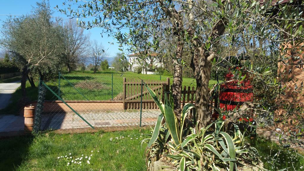 Ulivo Della Querce Villa Querce  Exteriör bild